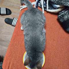 Фото отзыва 10900240