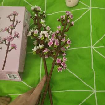 Конструктор LEGO Botanicals Цветение вишни 430 дет.: отзыв пользователя Детский Мир