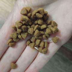 Фото отзыва 10982436