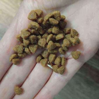 Корм для щенков ROYAL CANIN Junior миниатюрных пород 1.5кг: отзыв пользователя. Зоомагазин Зоозавр