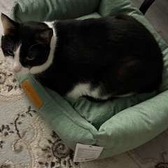 Фото отзыва 10728950