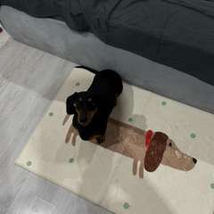 Фото отзыва 8918196