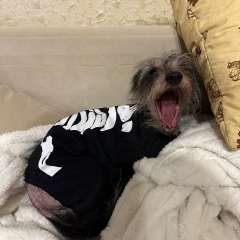 Фото отзыва 10939562