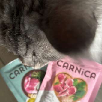 Корм для кошек Carnica 85г с ягненком кусочки в соусе консервированный: отзыв пользователя. Зоомагазин Зоозавр