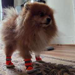 Фото отзыва 9733311