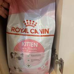 Фото отзыва 10933769