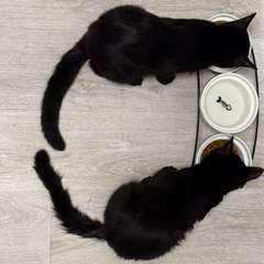 Фото отзыва 10441190