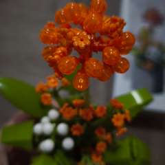 Фото отзыва 10698737