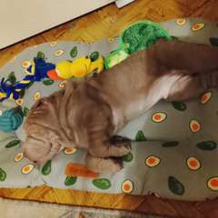 Фото отзыва 11068548