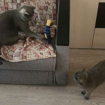 Игрушка для кошек Barbaks Окунь Кузьма с кошачьей мятой 7*21см: отзыв пользователя. Зоомагазин Зоозавр