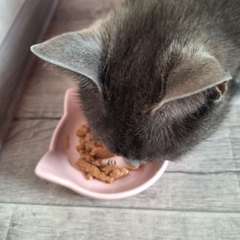 Фото отзыва 10983341