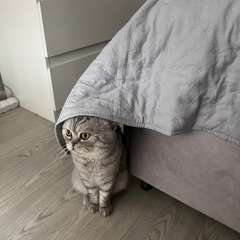 Фото отзыва 11346799