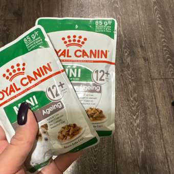 Корм для собак ROYAL CANIN Mini Ageing 12+ для стареющих собак мелких размеров 85г: отзыв пользователя. Зоомагазин Зоозавр