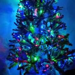 Фото отзыва 10873501