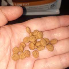 Фото отзыва 10909847