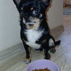 Фото отзыва 10542410