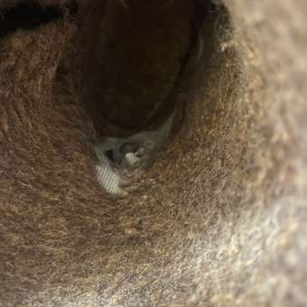 Дутики Nordman: отзыв пользователя Детский Мир