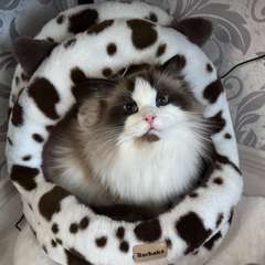 Фото отзыва 10754750