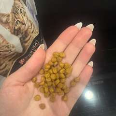 Фото отзыва 10903994