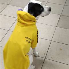 Фото отзыва 10443317