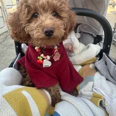 Фото отзыва 11264098