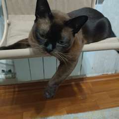 Фото отзыва 10649491