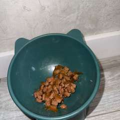 Фото отзыва 10590381