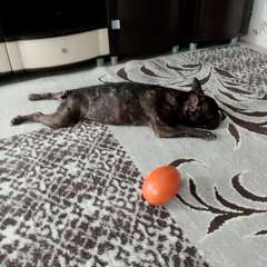 Фото отзыва 10828453