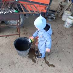 Фото отзыва 11092068