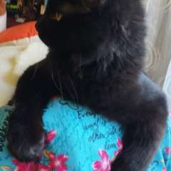 Фото отзыва 10669744