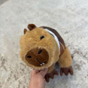 Мягкая игрушка Italian Brainrot Бурбалони Лулилоли: отзыв пользователя Детский Мир