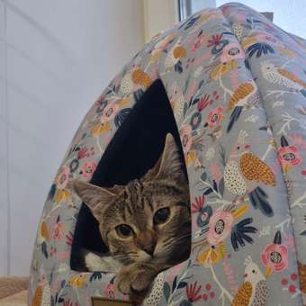 Дом для животных Gamma Вигвам Птички 40*40*36см: отзыв пользователя. Зоомагазин Зоозавр