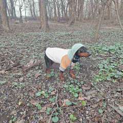 Фото отзыва 10754635