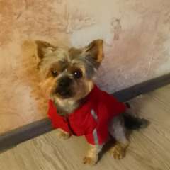 Фото отзыва 10453987