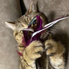 Фото отзыва 10724028