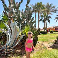 Фото отзыва 11274846