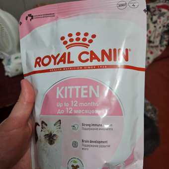 Корм сухой для котят ROYAL CANIN Kitten 300г: отзыв пользователя. Зоомагазин Зоозавр