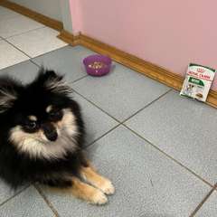 Фото отзыва 10949918