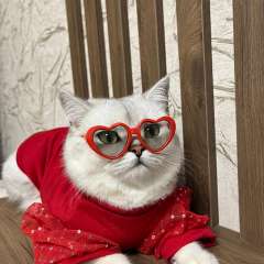 Фото отзыва 9765024