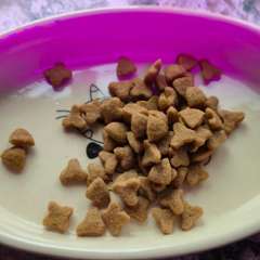 Фото отзыва 10644190