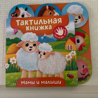Книга Росмэн Мама и малыши тактильная: отзыв пользователя Детский Мир