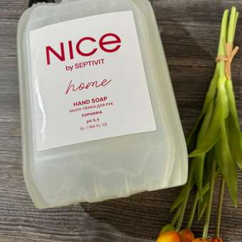Мыло жидкое NICE by Septivit Ягоды 5000 мл: отзыв пользователя Детский Мир