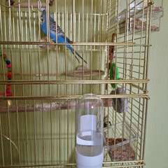 Фото отзыва 10146794