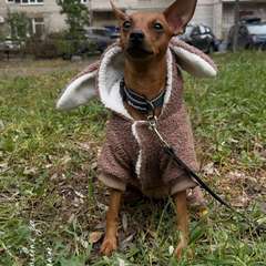 Фото отзыва 10474133