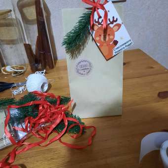 Пакет подарочный новогодний Золотая сказка пакетики для подарков и сладостей набор 10 штук открытки крафт: отзыв пользователя Детский Мир