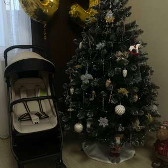 Коляска прогулочная Anex AIR-X2 бежевый: отзыв пользователя Детский Мир