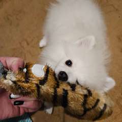 Фото отзыва 8396247