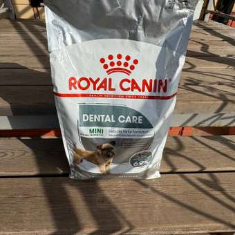 Корм для собак ROYAL CANIN Mini Dental мелких пород предрасположенных к образованию зубного камня 3кг: отзыв пользователя. Зоомагазин Зоозавр