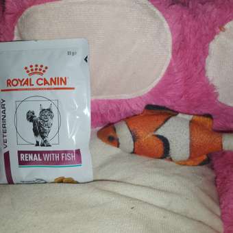 Корм для кошек ROYAL CANIN renal с рыбой 85г пауч: отзыв пользователя. Зоомагазин Зоозавр