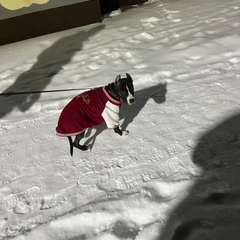 Фото отзыва 11082423